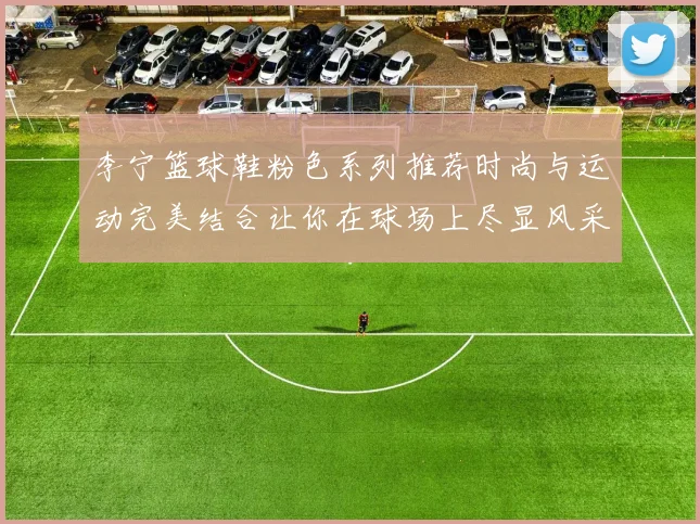 李宁篮球鞋粉色系列推荐时尚与运动完美结合让你在球场上尽显风采