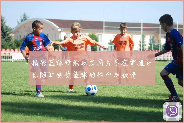 精彩篮球壁纸动态图片尽在掌握让你随时感受篮球的热血与激情